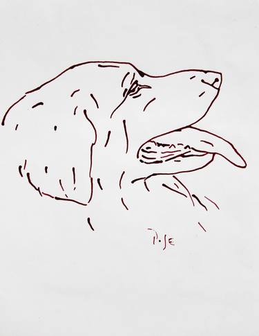 Original Documentary Dogs Drawings by Igor Pose