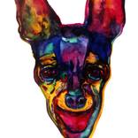 Collection Egoism of Feelings