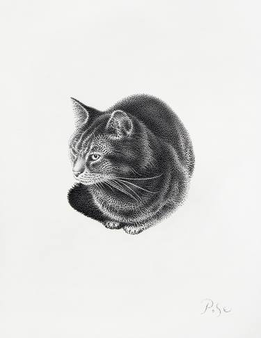 Print of Cats Drawings by Igor Pose