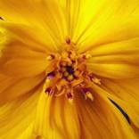 Collection Photography