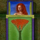 Collection Magic Fine