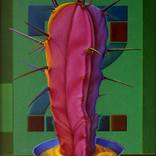 Collection Magic Fine