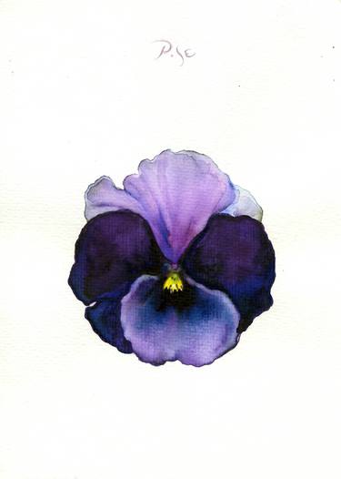 Print of Documentary Floral Paintings by Igor Pose