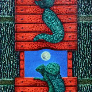 Collection Magic Fine