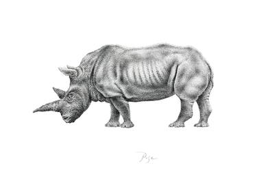 Rhinoceros thumb