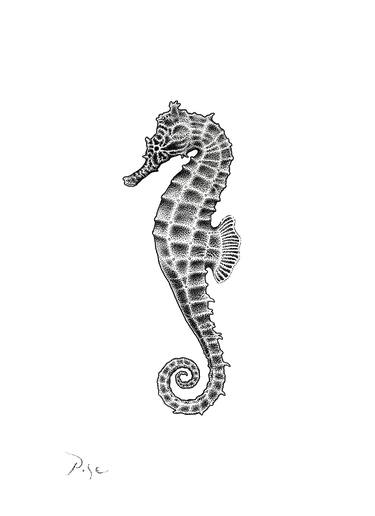 Seahorse thumb