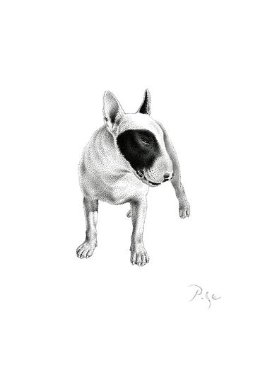 Print of Documentary Dogs Drawings by Igor Pose