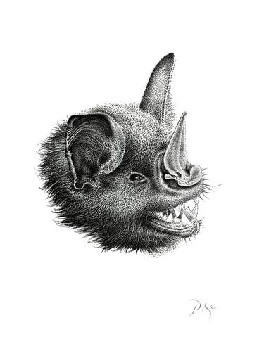 Original Animal Drawings by Igor Pose