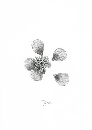 Original Figurative Floral Drawings by Igor Pose