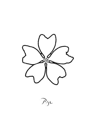 Original Floral Drawings by Igor Pose