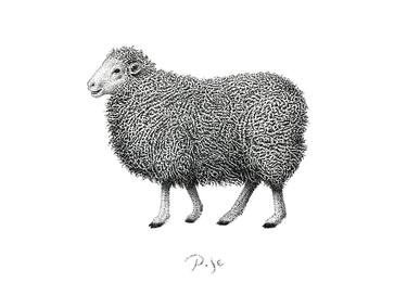 Print of Documentary Animal Drawings by Igor Pose