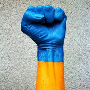 Collection Natural Art