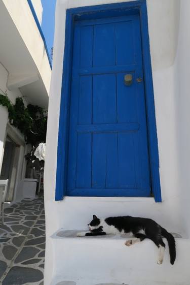 Cat and blue door - Limited Edition of 1 thumb