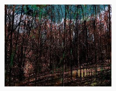 Print of Landscape Photography by Antonio Vargas