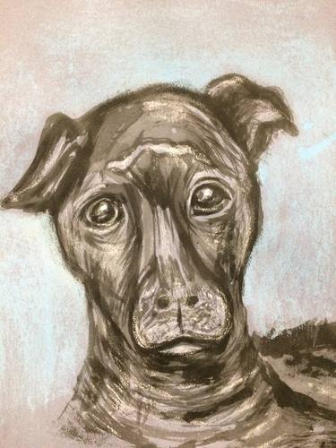Print of Documentary Dogs Drawings by Stephen Phillips