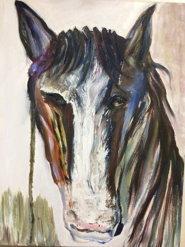Original Fine Art Horse Paintings by Stephen Phillips