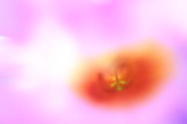 Print of Abstract Floral Photography by VENUS VIII