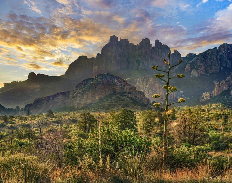 Chisos Mountains, Big Bend National Park, Texas Photography by Tim ...