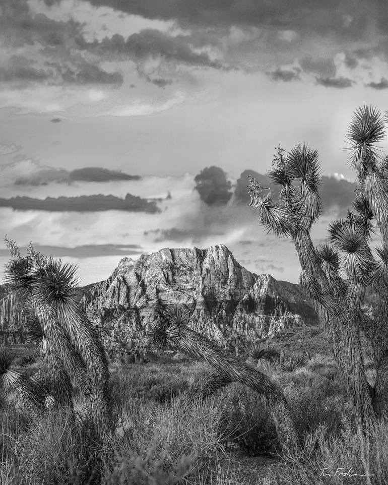 Spring Mountain White Landscaping Rock