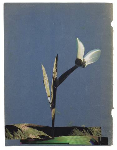 Original Art Deco Botanic Collage by Anke Roder