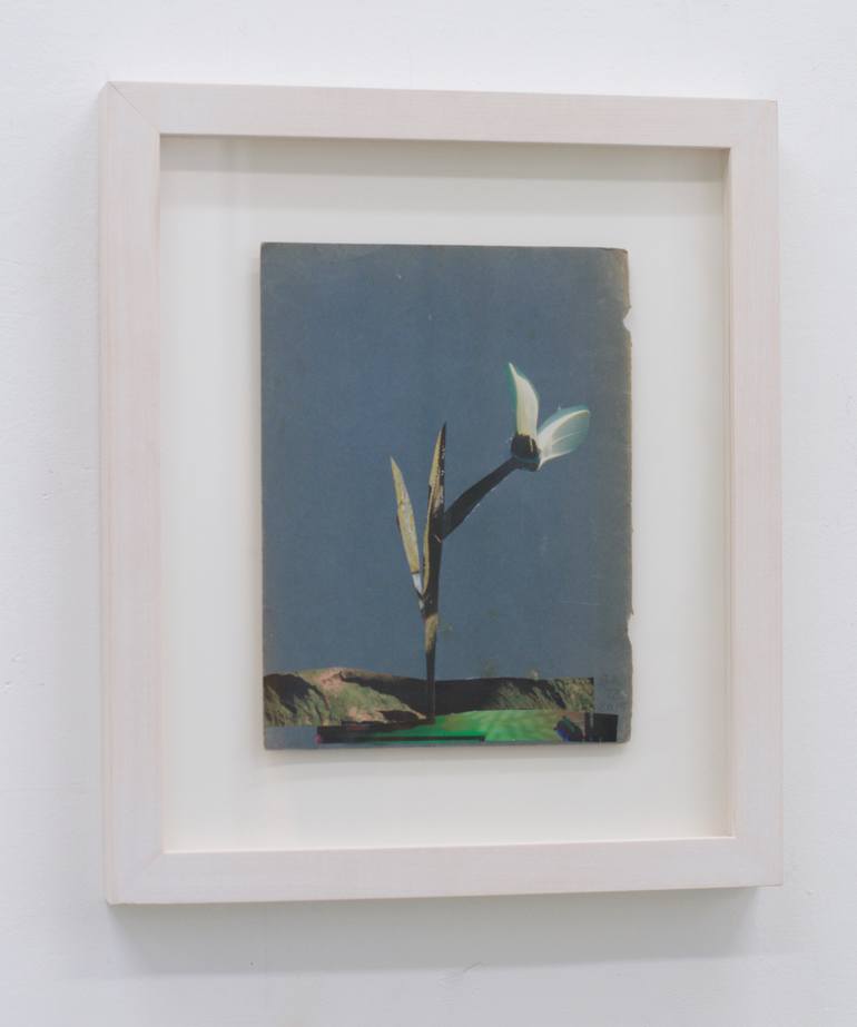 Original Contemporary Botanic Collage by Anke Roder