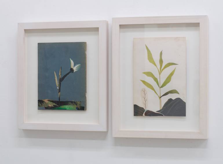 Original Contemporary Botanic Collage by Anke Roder