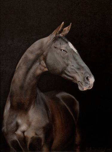 Horse portrait.An elite stallion.Akhal teke. thumb