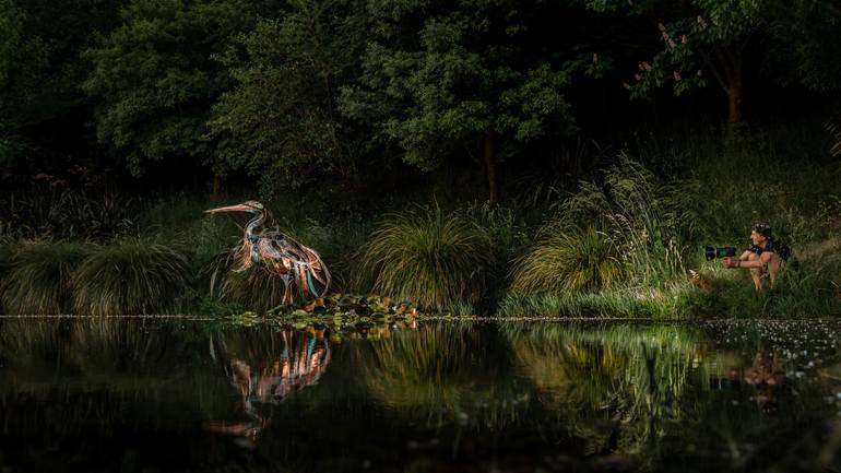 Original Abstract Animal Sculpture by Glen Colechin