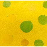 Tuttifrutti - Limited ed. 1/10 - Limited Edition of 10 by paolo vanda