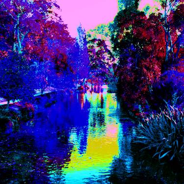 The Gardens Christchurch by Ross Davidson. - Limited Edition of 1 thumb