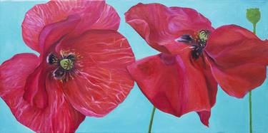 Two Red Poppy thumb