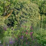 Collection An Imperfect Garden
