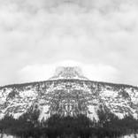 Collection Symmetry