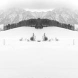 Collection Symmetry