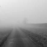 Collection Fog Two