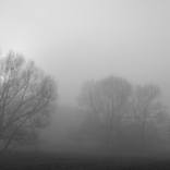 Collection Fog Two