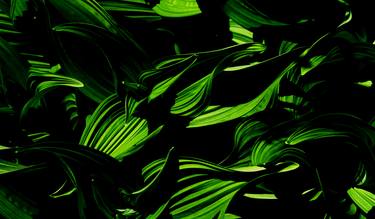 Original Abstract Botanic Photography by David Ryan