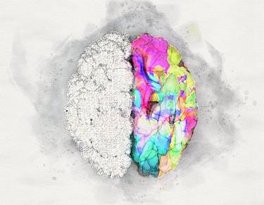 Left And Right Brain Concept Watercolor thumb