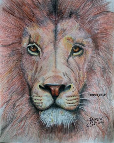 Lion Color Pencil Sketch By Shubham Carpenter thumb