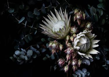 Print of Fine Art Floral Photography by Elise Catterall