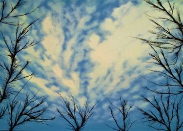 Original Fine Art Nature Paintings by Paride Ranieri