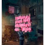 The Candy Men - Pink - Medium by Jon Enoch