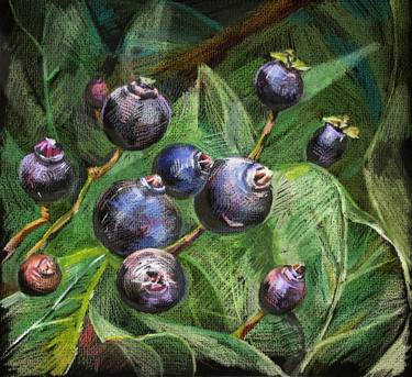Wild blueberries thumb