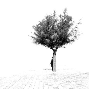 Original Tree Photography by Jaume Ten