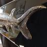 I created this picture to capture the sturgeon, its beautiful texture, spikes, sturgeon is now a very rare fish. Maybe soon she will disappear ...
Photos and videos in good quality here:
https://photos.app.goo.gl/T82LehbPGPT9cj4t8
Upon shipment, the work will be packed in a reliable box made of plywood with foam