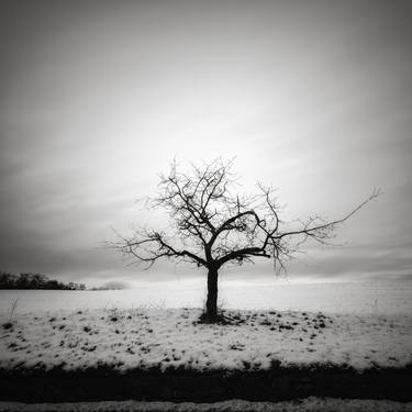 Original Fine Art Landscape Photography by Ivan Spirko