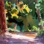 Woodland Spring by Lee Stewart