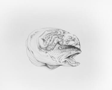Original Illustration Fish Drawings by Lilli Messina