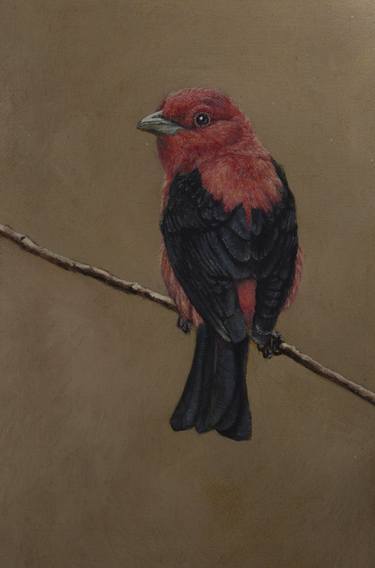 scarlet tanager thumb