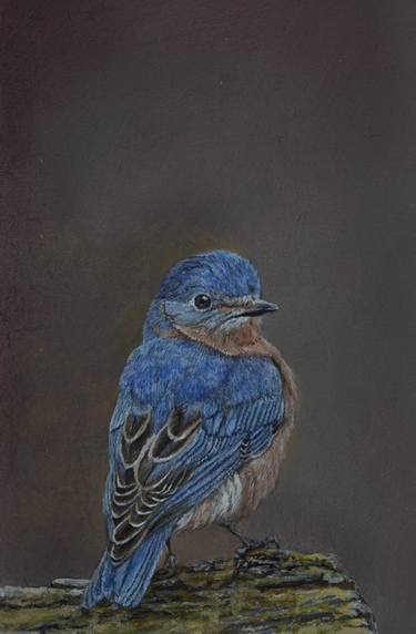 Print of Animal Paintings by FRANK TS TAN